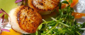 seared scallops by PC Events Catering